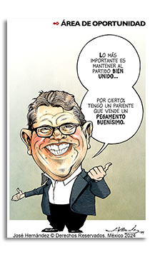 Areas de oportunidad
